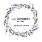 Apartament La Lavanda Di Poppi-mini