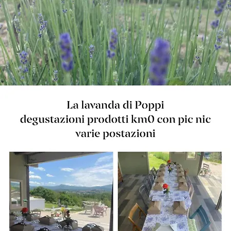 La Lavanda Di Poppi-mini