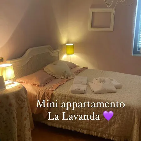 Daire La Lavanda Di Poppi-mini