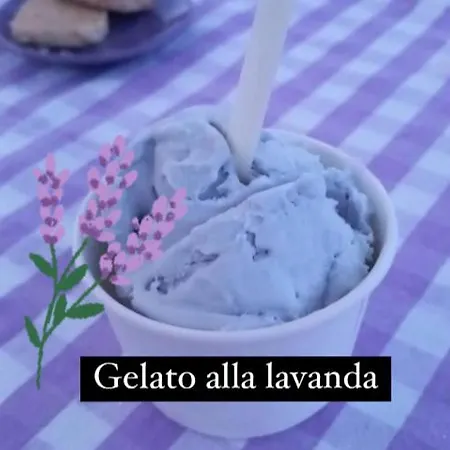شقة La Lavanda Di Poppi-mini