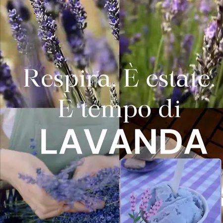 La Lavanda Di Poppi-mini * بوبّي