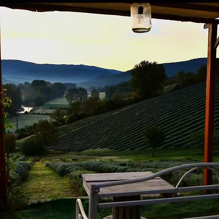 La Lavanda Di Poppi-mini Apartament Poppi